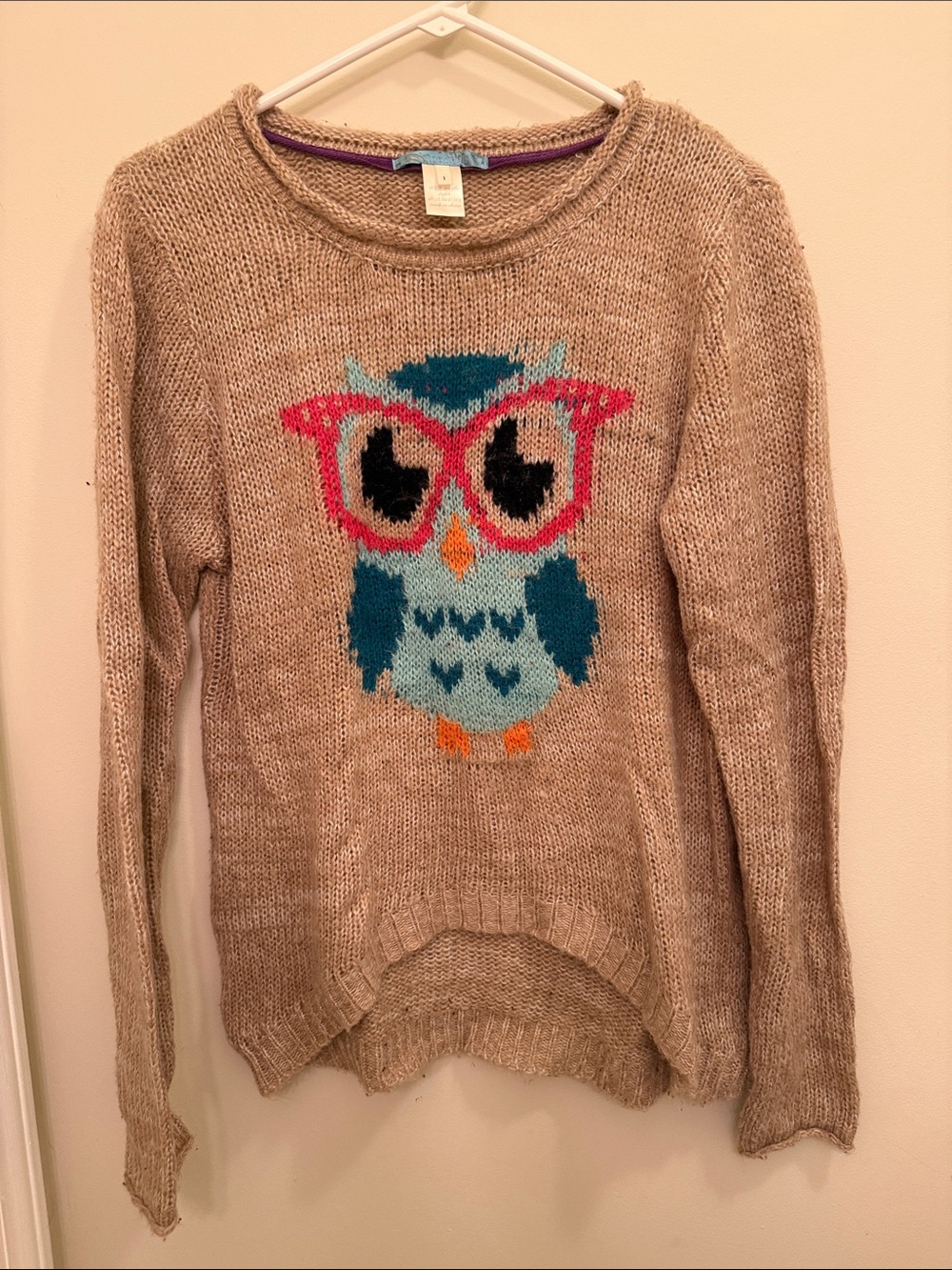 Cozy Crewneck Sweater with Owl Intarsia - Taupe with Teal & Pink Accents